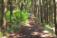 第13話・陣馬山〜高尾山縦走