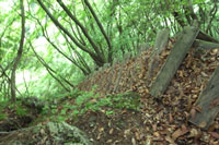 第14話・川苔山〜赤杭山〜ズマド山縦走