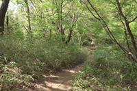 第27話・南高尾山稜