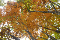 第34話・八丁山