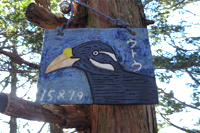 第36話・タワ尾根、ウトウの頭