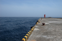 第39話・利島で島廻り。