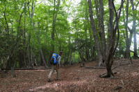 第42話・天祖山　棒ノ折山縦走