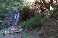 第43話・倉戸山・榧ノ木などを縦走