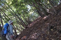 第46話・雨乞山・尾平山