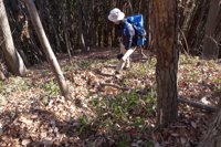 第49話・要倉山・茶高山