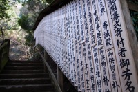 第55話・高尾山の蛇滝コース