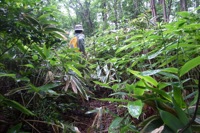 第60話・大澄山と浅間岳