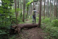 第62話・通矢尾根