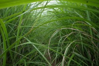 第66話・花折戸尾根