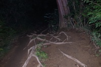 第65話・高尾山でナイトハイク