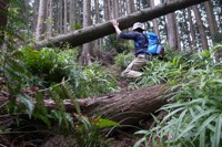 第74話・夕倉山〜永栗ノ峰