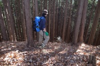 第75話・内蔵ノ助山とバケモノ山