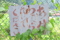 東京巨木めぐり