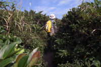 第32話・神津島で登山！