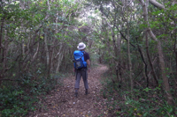 式根島ネイチャーウォーク