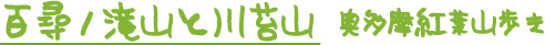百尋ノ滝山と川苔山　東京登山