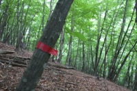 赤テープにほっとする。