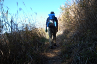 日の出山北尾根