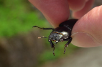 ズマド山南東尾根