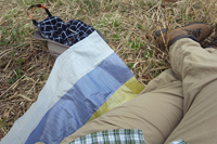 レジャーシート