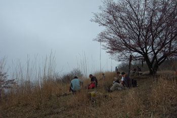 天狗の腰掛け杉