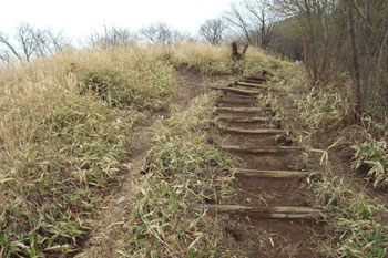 棒ノ折山からゴンジリ峠の登山道
