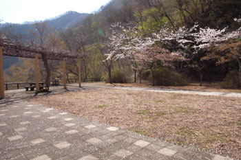 公園