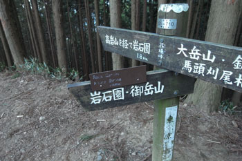 ロックガーデン