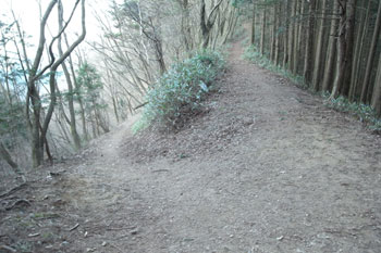 ロックガーデンへ