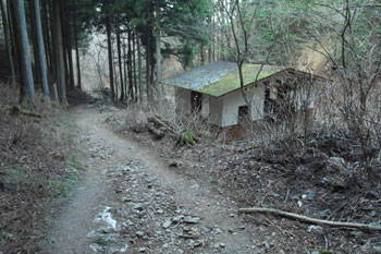 ロックガーデン