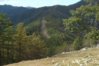 一杯水避難小屋