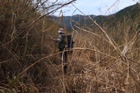 リングワンデリング？