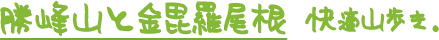 勝峰山と金比羅尾根