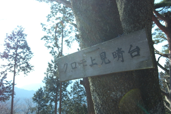 登山道