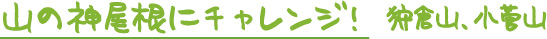 日の出山、麻生山、金比羅山