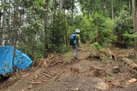 日の出山北尾根