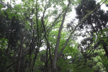 御岳の集落を歩きます。