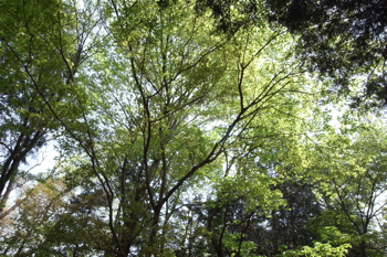 神路橋が見えてくる。