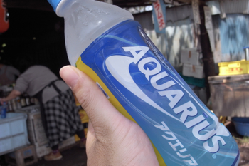 路からそれて左に下って行くと・・。