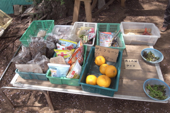 路からそれて左に下って行くと・・。