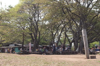 路からそれて左に下って行くと・・。