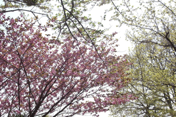 神路橋が見えてくる。