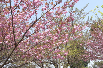 路からそれて左に下って行くと・・。