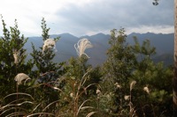 雰囲気バツグン（？）