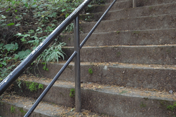 奥多摩むかしみちの道中