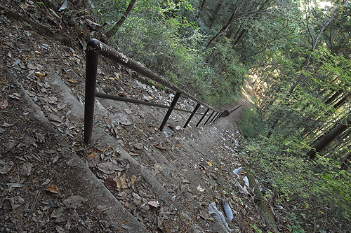 奥多摩むかしみちの道中