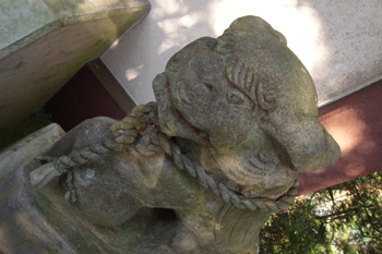 奥多摩むかしみちの道中