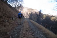 ���νл�������