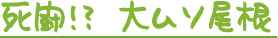 死闘　大ムソ山